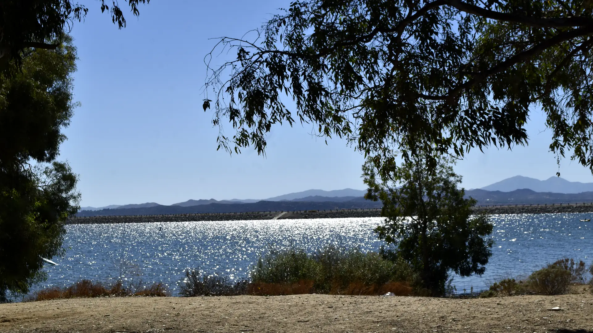 Lake Perris seen through eucalyptus branches from the shore, sunlight breaking across the open water, the dam running the length of the far side and dry hills behind it