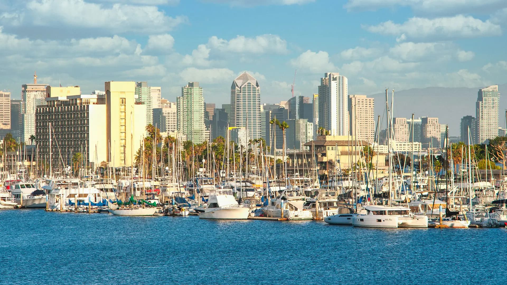 The downtown San Diego skyline above a harbor marina packed with moored sailboats, palms along the waterfront and the hills east of the city behind.